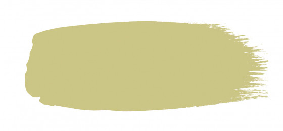 Little Greene Absolute Matt Emulsion Paint Apple 137 M Sample Pot 60ml